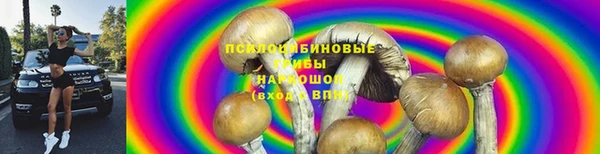 трава Михайловск