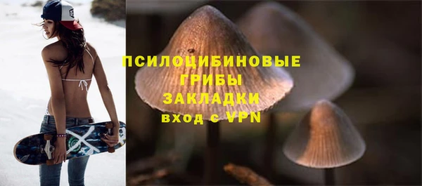 МДПВ Михайловка