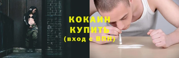 амф Заречный