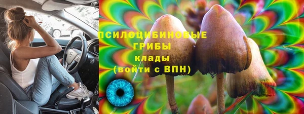трава Михайловск