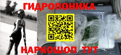 стафф Кимры