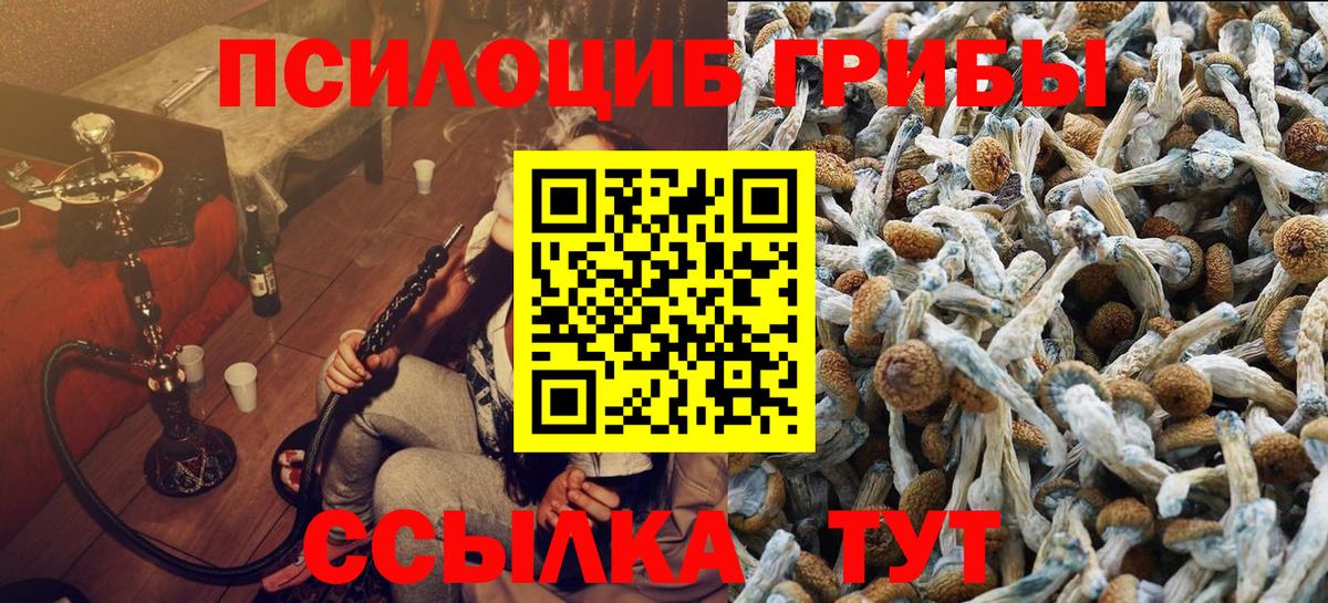 Галлюциногенные грибы Magic Shrooms Северобайкальск