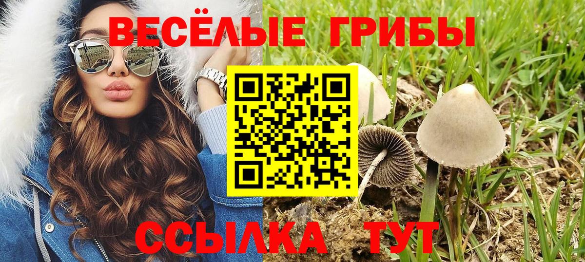 Галлюциногенные грибы мухоморы  Вход с VPN  Северобайкальск 