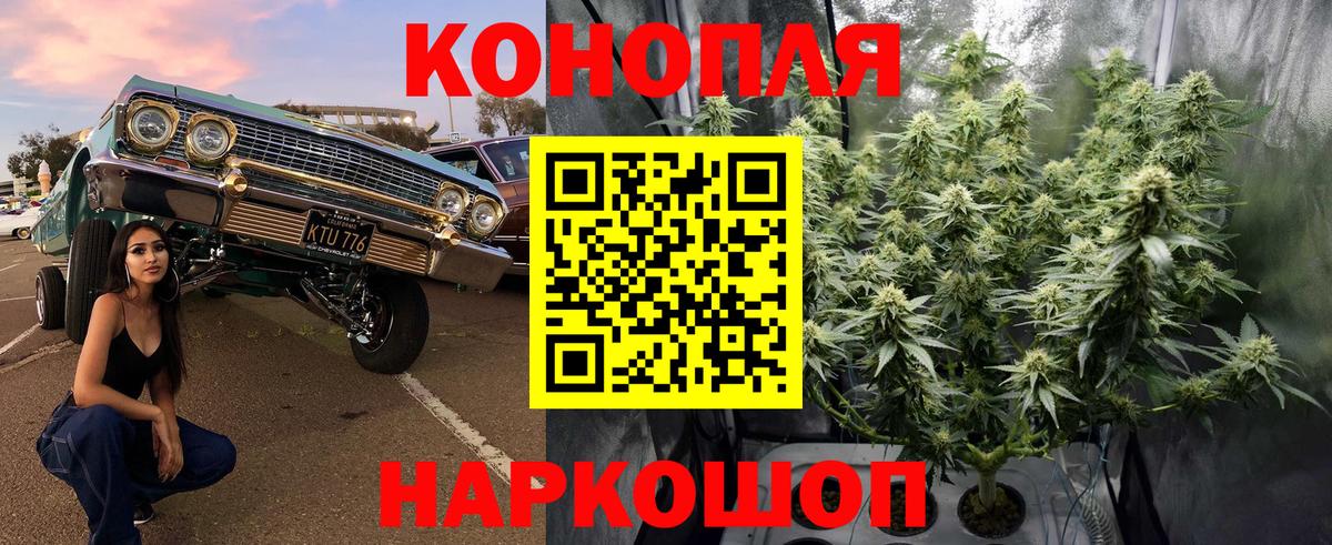 Конопля план Северобайкальск